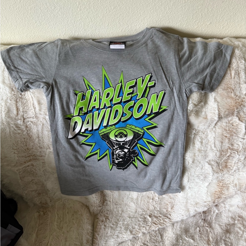 Harley-Davidson Gray Short Sleeve Tee with Graphic Design Punta Cana